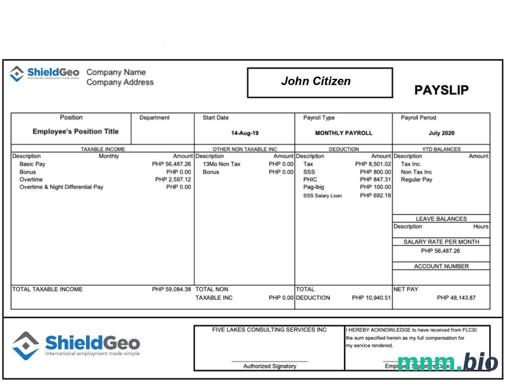 Shieldgeo payslip w formatach Word i PDF